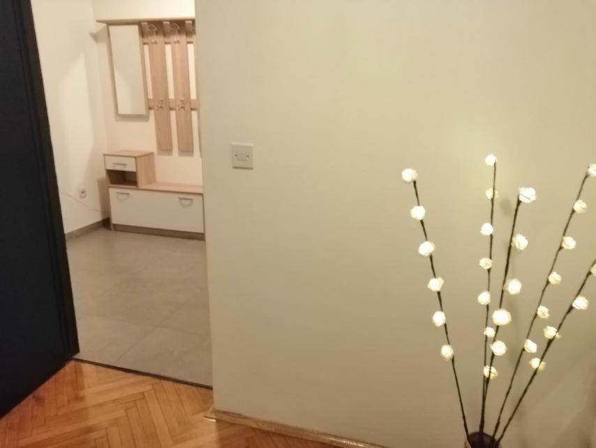 Apartman Sanja Pula Zewnętrze zdjęcie
